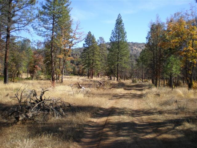 Hogsback area #1