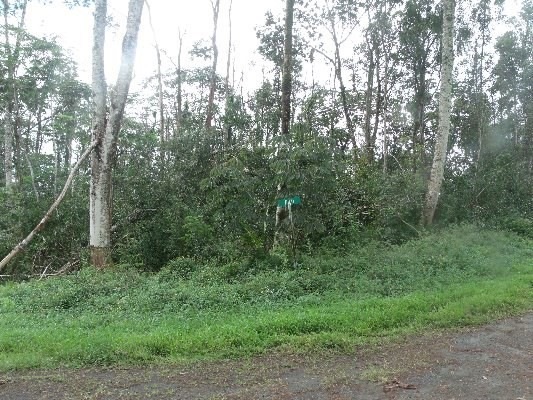 Lots closer to this end of the street, past the cleared area.
