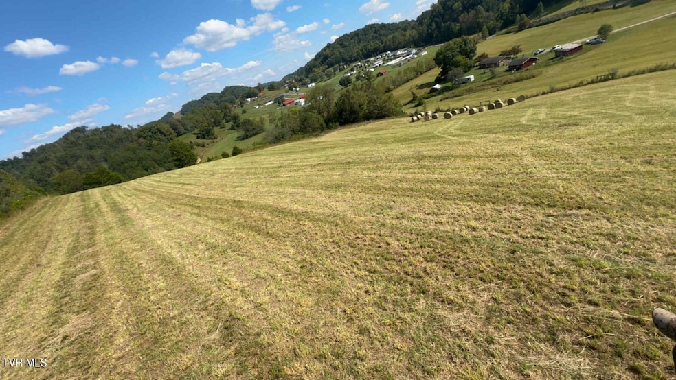 Tbd E Carters Valley Rd, Gate City, VA 24251 - photo 1