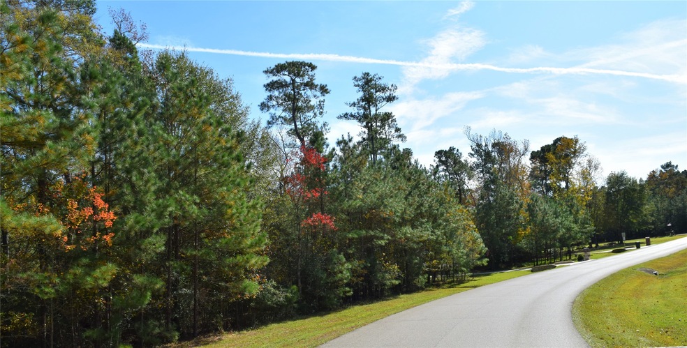 0 Sky Forest Cir unit 81862688, Magnolia, TX 77355 - photo 1