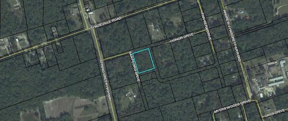 0 San Peoro Dr unit 315966, Crawfordville, FL 32327 - photo 1