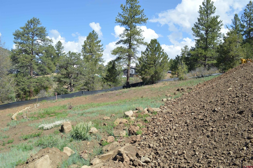 48 Wild Chives Ct (Lot 103), Durango, CO 81301 - photo 1