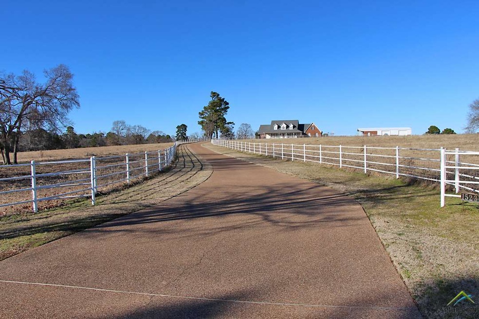 15231 Fm 850, Tyler, TX 75707 - photo 1