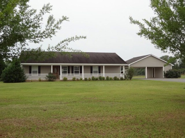 Main View
