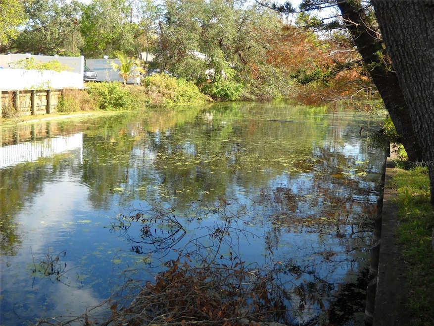pond behind home