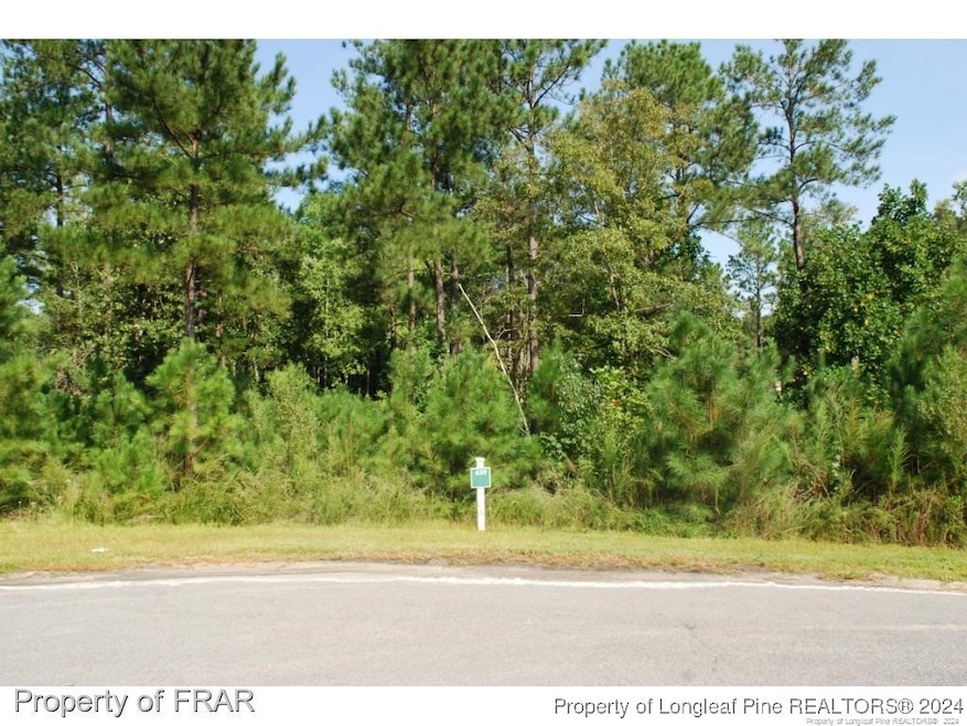 222 Broadlake (639) Ln, Spring Lake, NC 28390 - photo 1