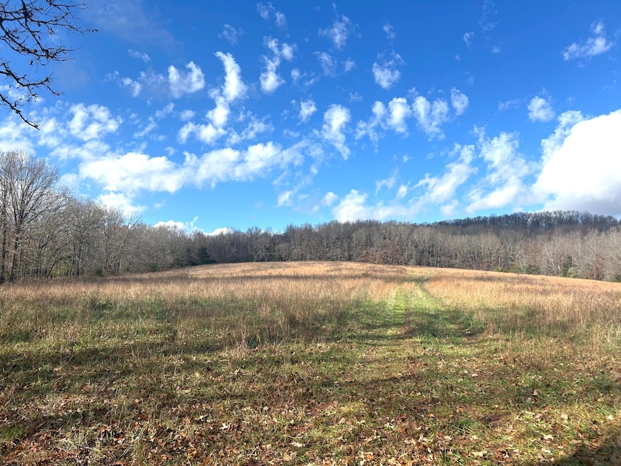 0 E Highway 14 Private Dr unit D, Ava, MO 65608 - photo 1