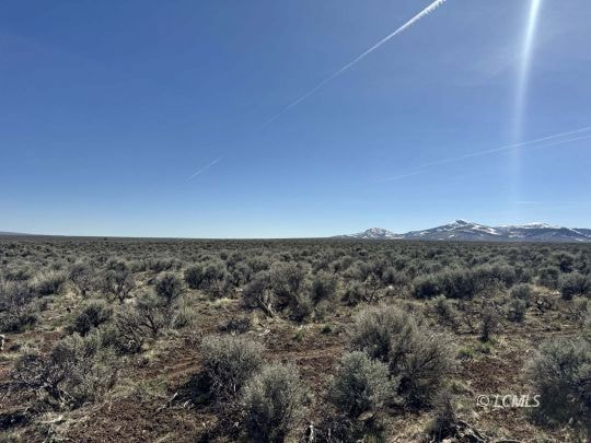 10 Acres Plush