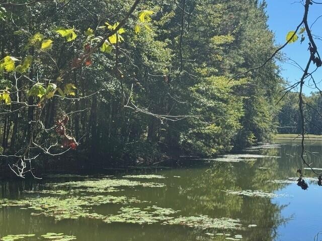 0 Poplar Creek Dr unit 25028030, Elloree, SC 29047 - photo 1