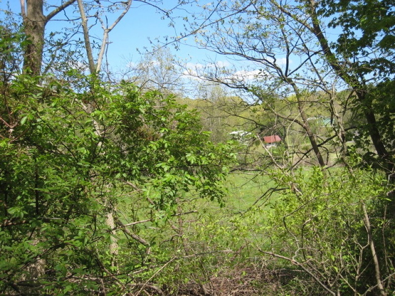 499 Delaware Rd, Hope, NJ 07825 - photo 1