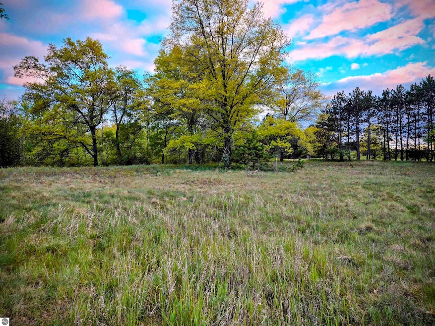 Cedar and W 12th St, Evart, MI 49631 - photo 1