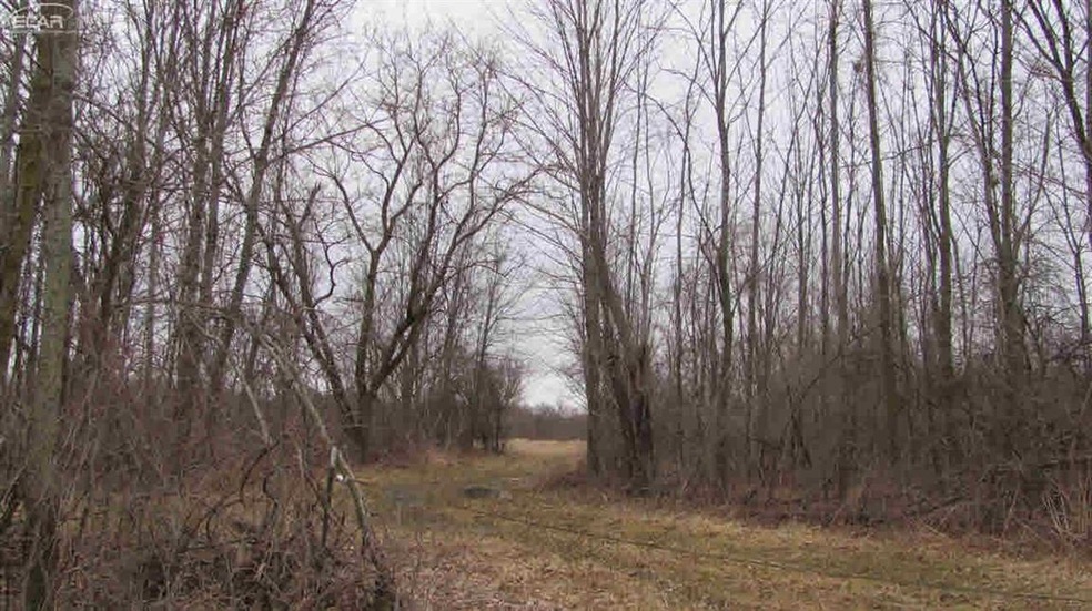 0 Whitney Rd unit 30064906, Gaines, MI 48436 - photo 1