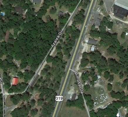 0 Azalea Dr unit 262160, Crawfordville, FL 32327 - photo 1