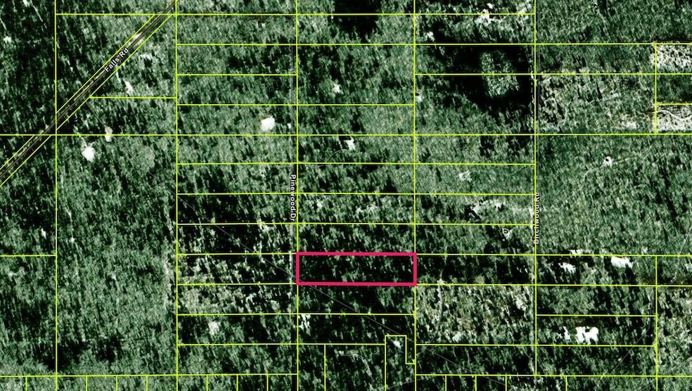 000 Pinewood Rd, McMillan Township, MI 49868 - photo 1