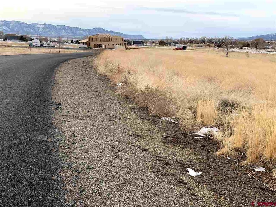 0 Road North 6 Loop unit 35 766006, Cortez, CO 81321 - photo 1
