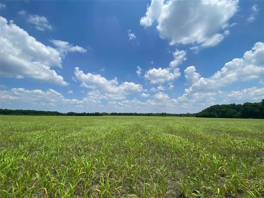 151 Fm 151, Whitewright, TX 75491 - photo 1