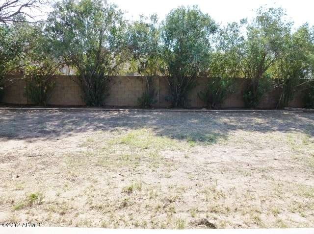 023-130892 - Backyard 1