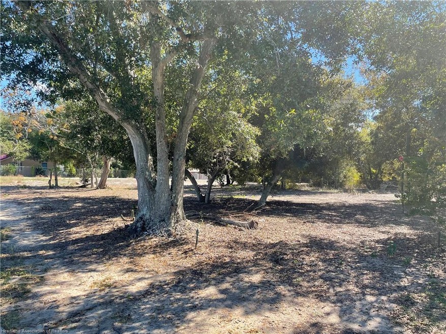 226 E Phoenix St, Lake Placid, FL 33852 - photo 1