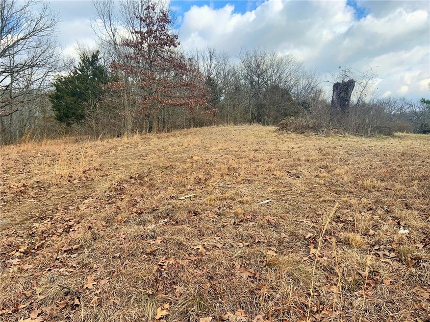 20242 Mount Olive Rd, Elkins, AR 72727 - photo 1