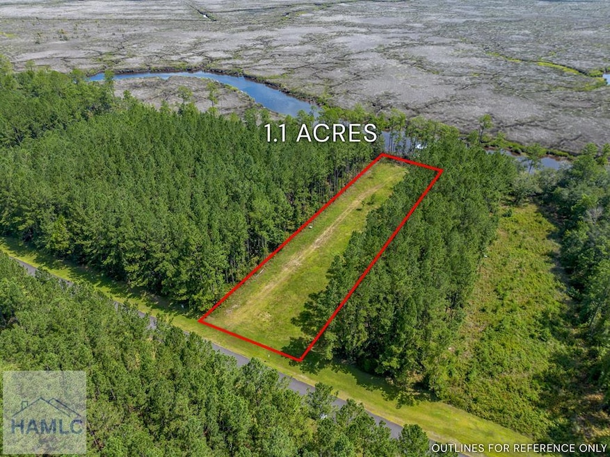 0 La Mare Ln unit 161537, Waverly, GA 31565 - photo 1