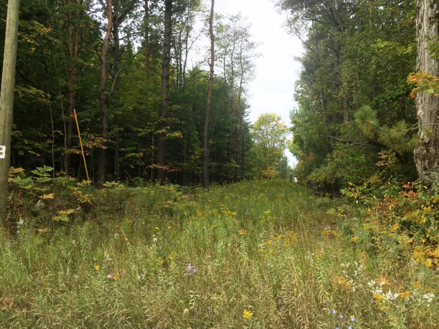 00 S Lakola Rd unit Lot 1, Reed City, MI 49677 - photo 1