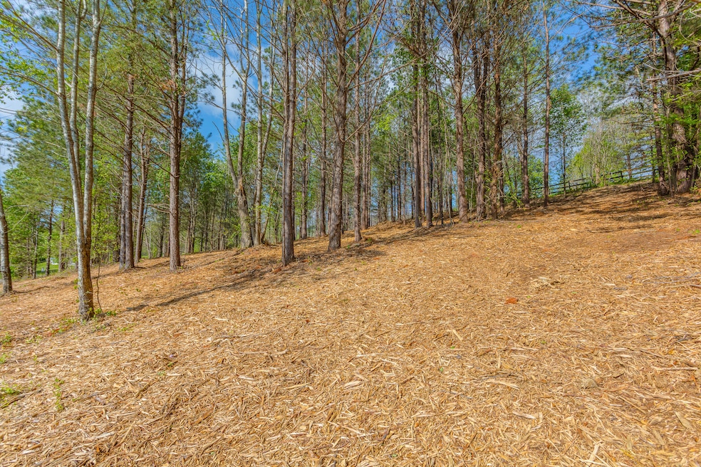 19 Turkey Run, Flintstone, GA 30725 - photo 1