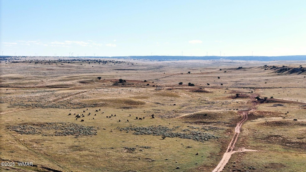 0 Ariz Rancho #85 Lots 005 & 024 unit 258777, Sun Valley, AZ 86029 - photo 1