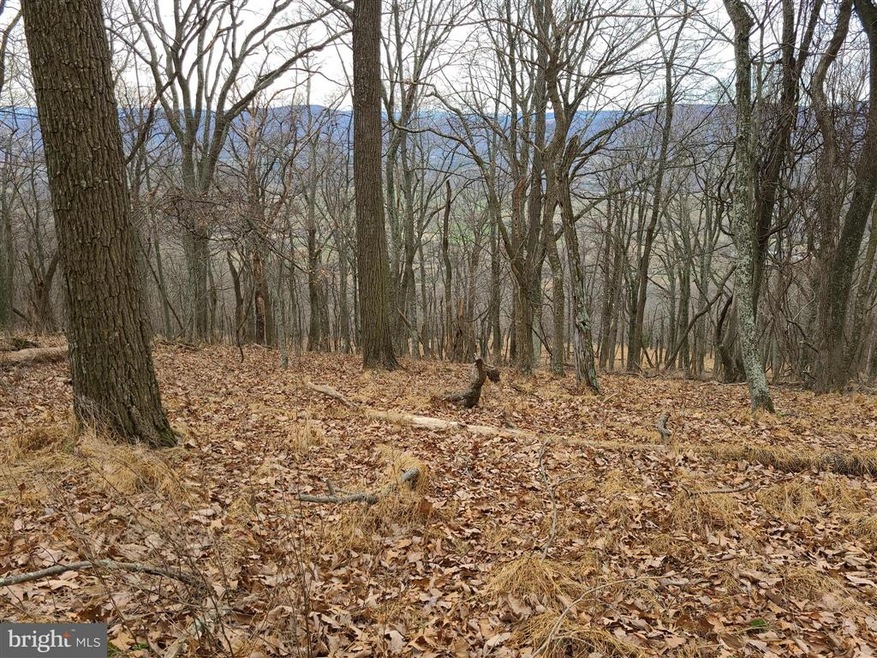 19 High Knob Rd, Old Fields, WV 26845 - photo 1