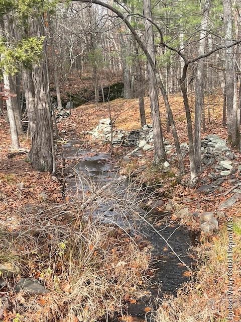 00 Schoharie Turnpike, Greenville, NY 12083 - photo 1