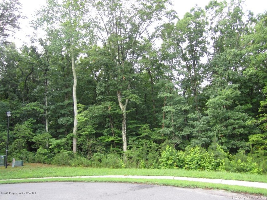 8195 Natures Way, Williamsburg, VA 23188 - photo 1