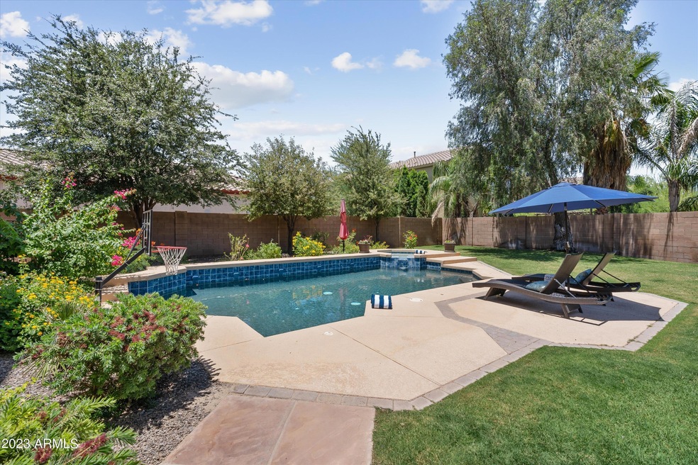 Backyard Oasis