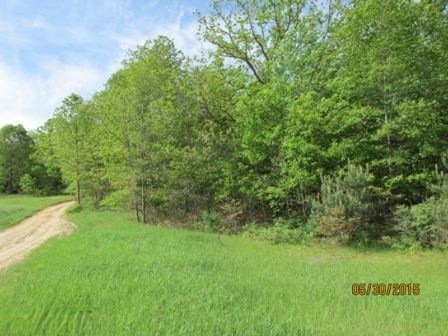 0 Woodland Park Rd unit 16002328, Bitely, MI 49309 - photo 1