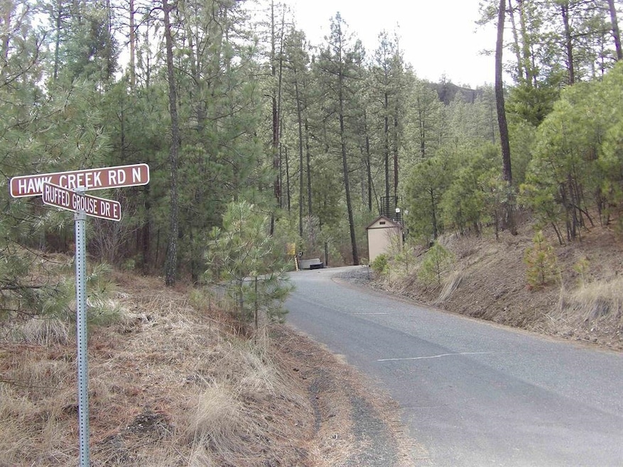 Lot 2 Pine Hen Ln E, Davenport, WA 99122 - photo 1