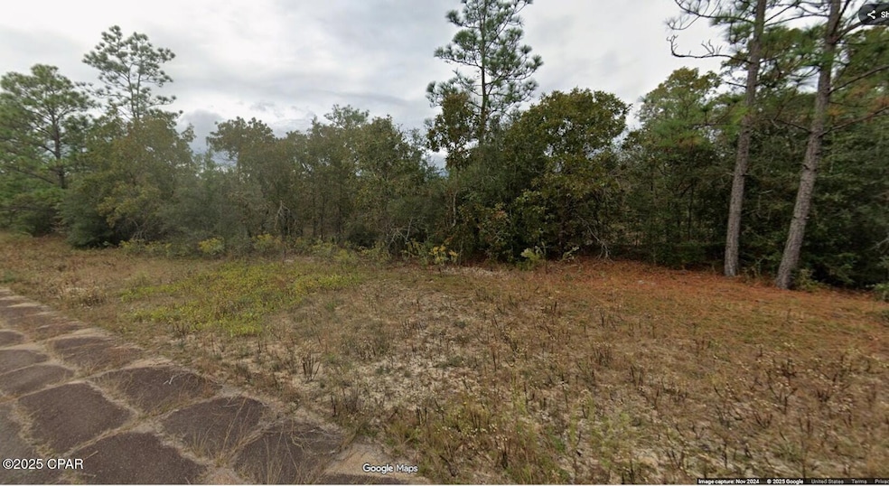 Lot 21 Place, Chipley, FL 32428 - photo 1