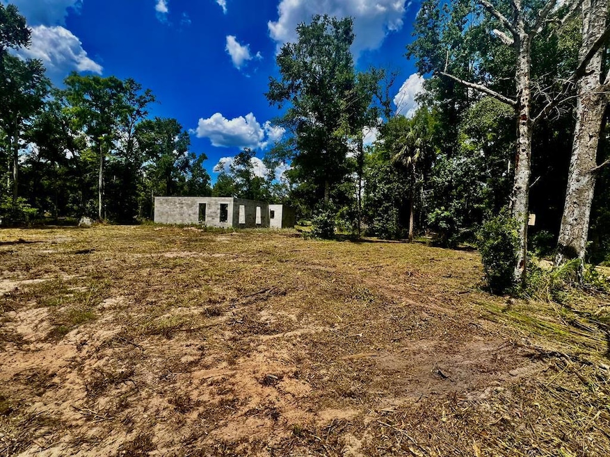 0 SW 50th Ln, Cross City, FL 32628 - photo 1