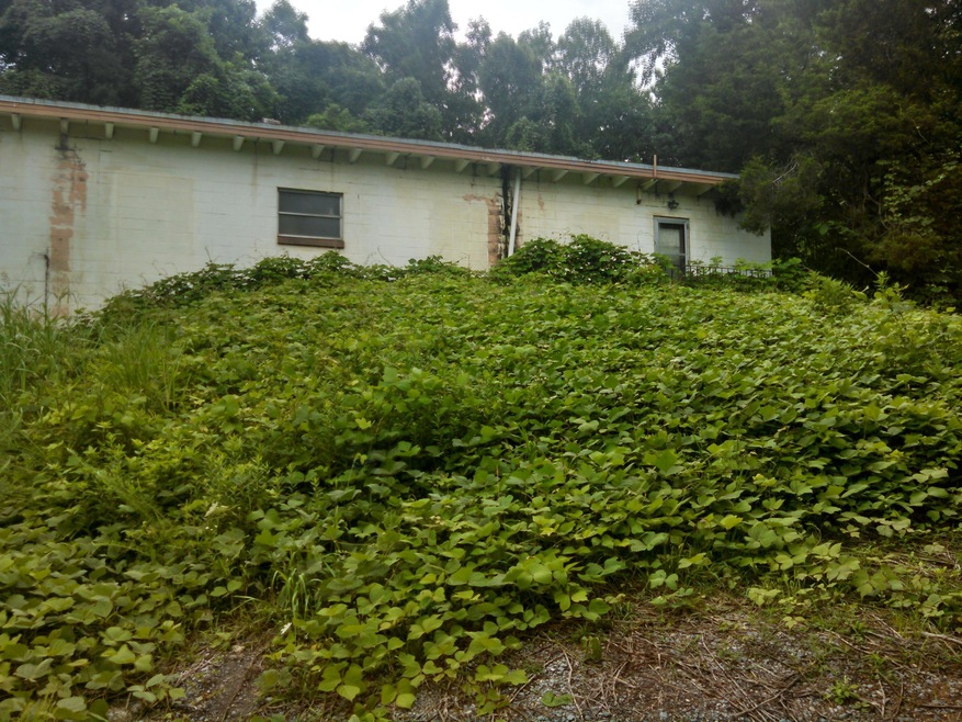 8505 Chapman Hwy, Knoxville, TN 37920 - photo 1