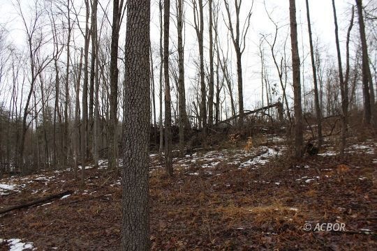 0 Mann Rd unit 2424445, Logan, OH 43138 - photo 1