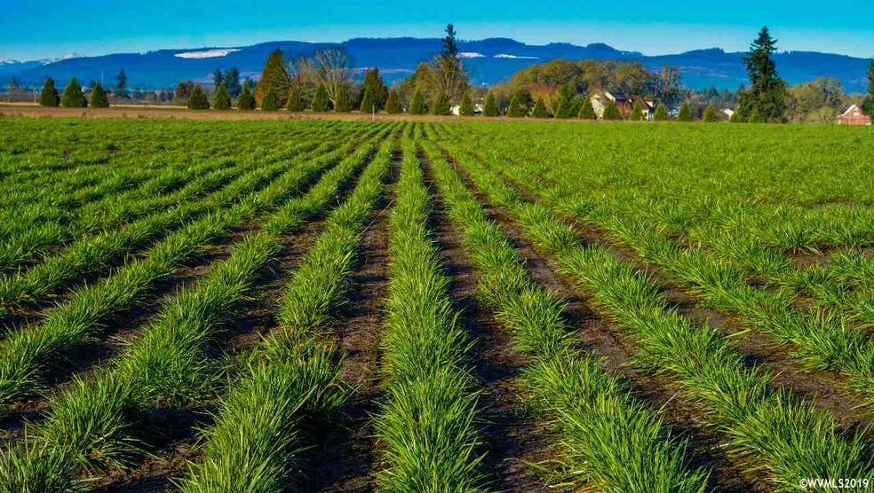 0 Highway 223 (Parcel #572895) unit 746733, Dallas, OR 97338 - photo 1