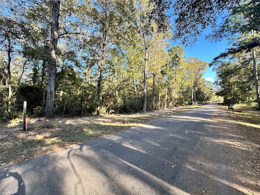 16136 Plaster Cir, Conroe, TX 77303 - photo 1