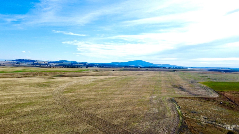 TBD Westlake Rd (80ac), Craigmont, ID 83523 - photo 1