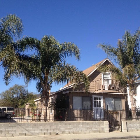 1-good front view 323 olive