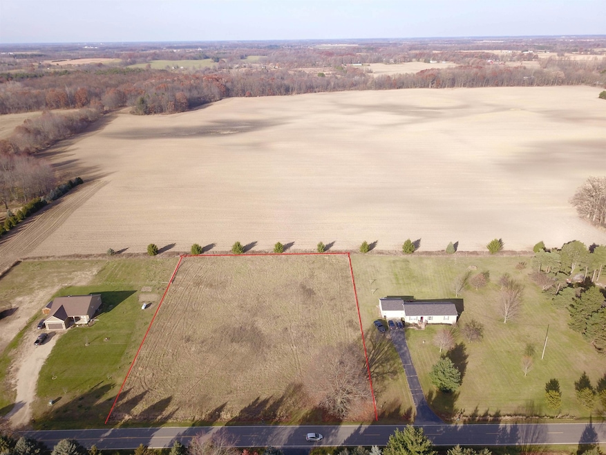 0 Doyle Rd unit 50194948, Laingsburg, MI 48848 - photo 1