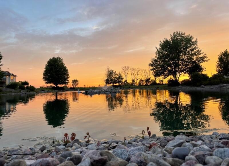 Beautiful Pond View