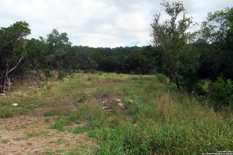 20810 Purple Finch, San Antonio, TX 78256 - photo 1