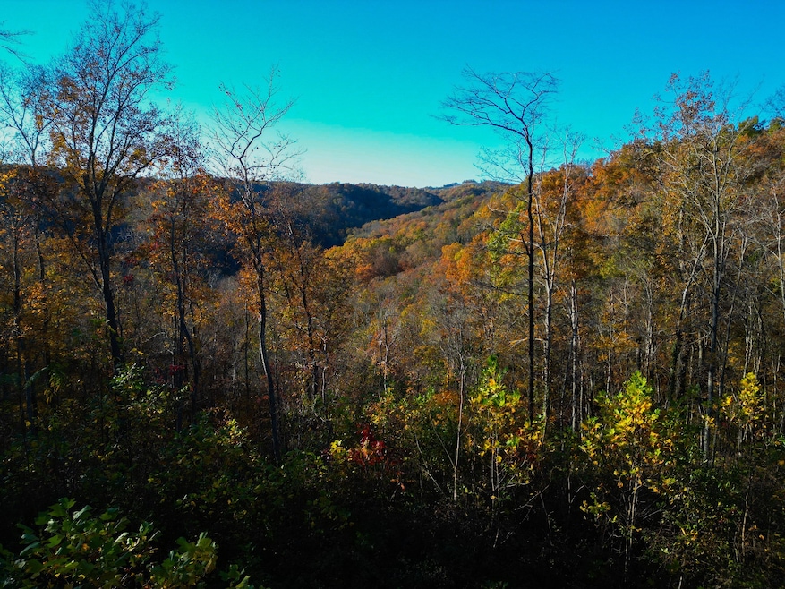 0 Rock Springs Rd unit RTC3049749, Celina, TN 38551 - photo 1