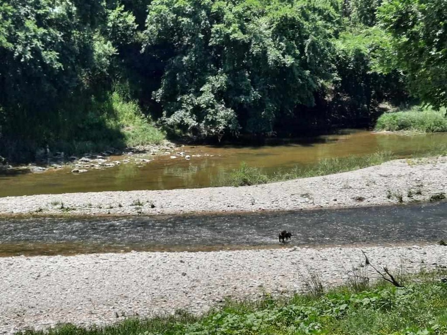 TBD Prairie Rd, Kempner, TX 76539 - photo 1