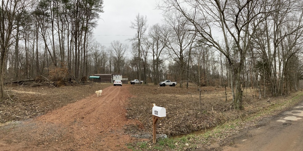 131 Hurricane Creek Dr, Tennessee Ridge, TN 37178 - photo 1