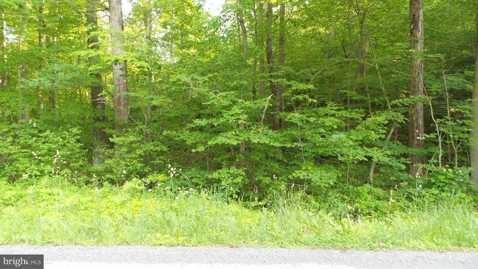 4 Householder Rd, Hedgesville, WV 25427 - photo 1