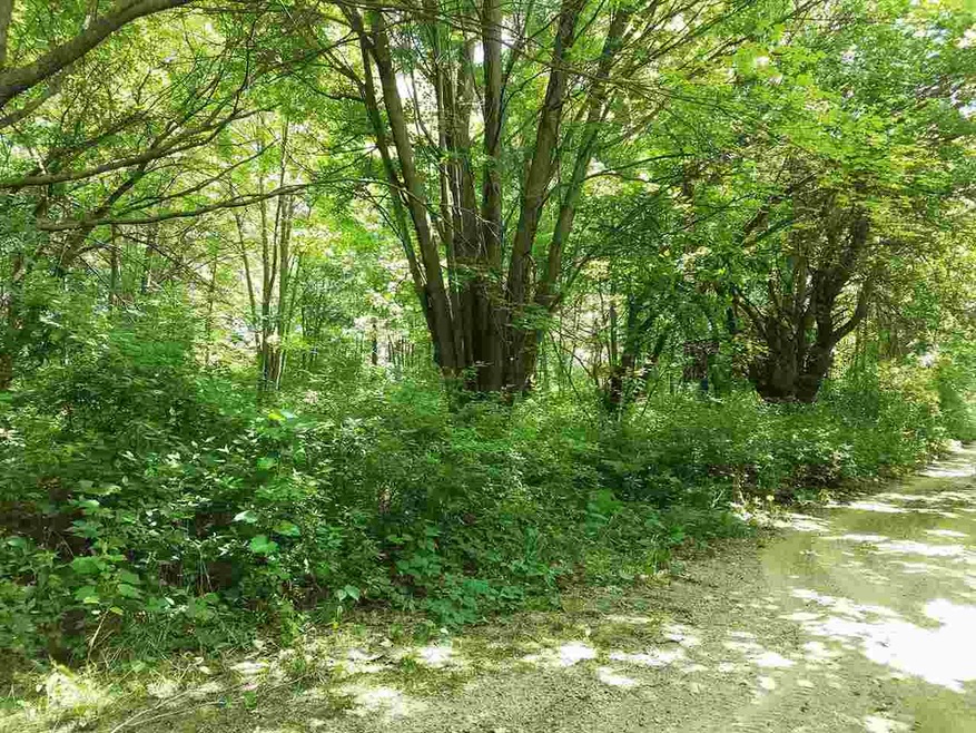Property along roadfront.