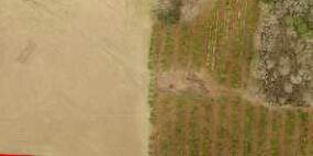 Screen Shot 2021-08-31 at 8.42.29 PM